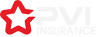 logo_pvi_2